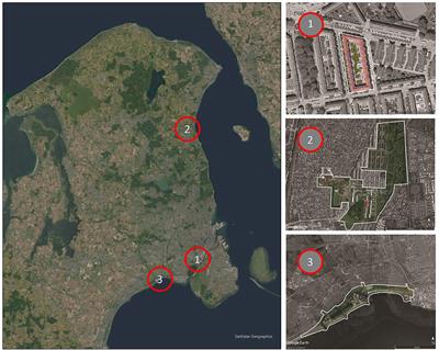 Nature-based climate adaptation projects, their governance and transitional potential-cases from Copenhagen